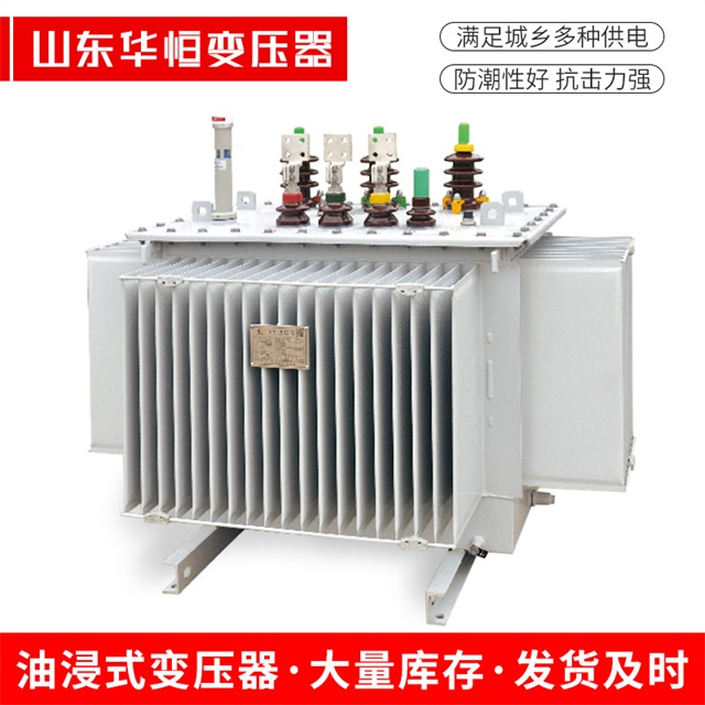 S13-10000/35桑珠孜桑珠孜桑珠孜电力变压器